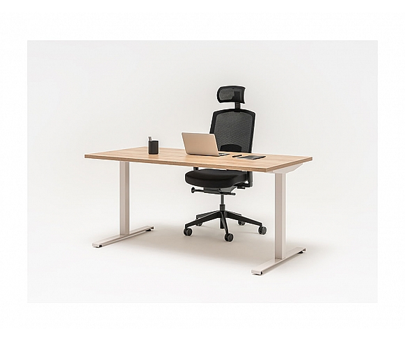 OGI desk collection